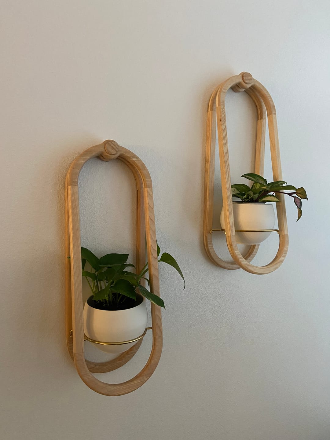 Customer photo review of Frame Wall Planter + Pot Duo