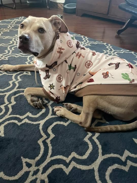 Customer photo review of Rodeo Dog Hoodie