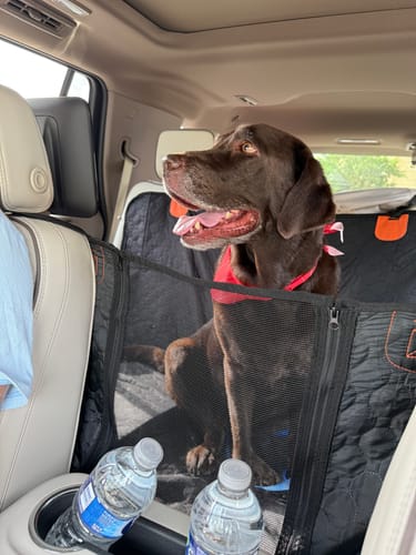 Customer photo review of RuffRover 2.0™ - Hard Bottom Dog Car Seat Protector