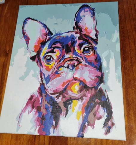 Customer photo review of Custom Pet Paint By Numbers