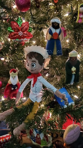 Customer photo review of #1 El Jibarito