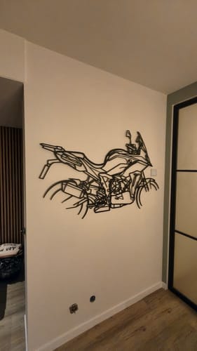Customer photo review of S1000XR Metal Wall Art