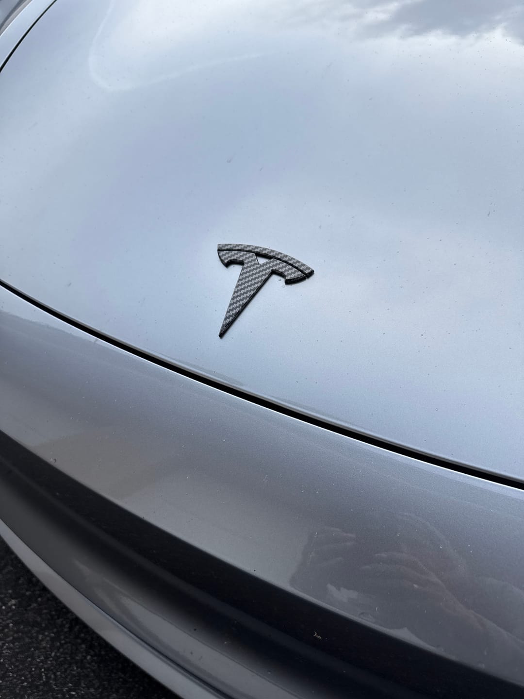 Customer photo review of EVAAM® Real Carbon Fiber Logo Covers Set for Model 3/Y Accessories