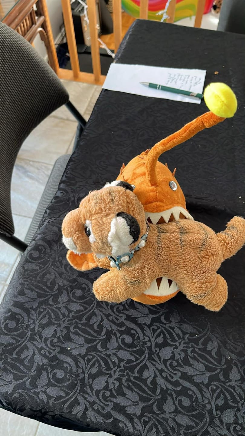 Customer photo review of Anglerfish Soft Stuffed Plush Toy