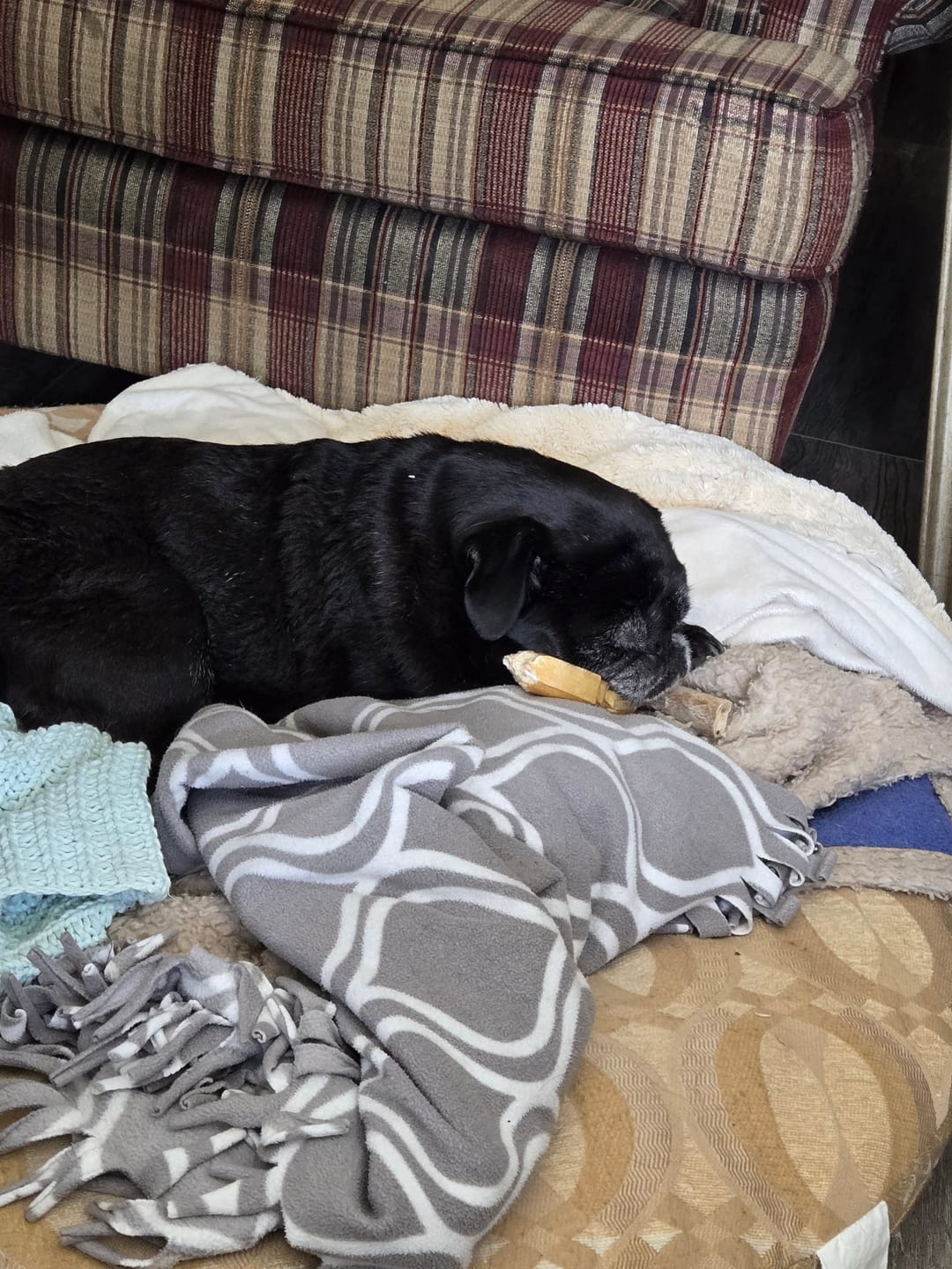 Customer photo review of Small Bully Stick Ring