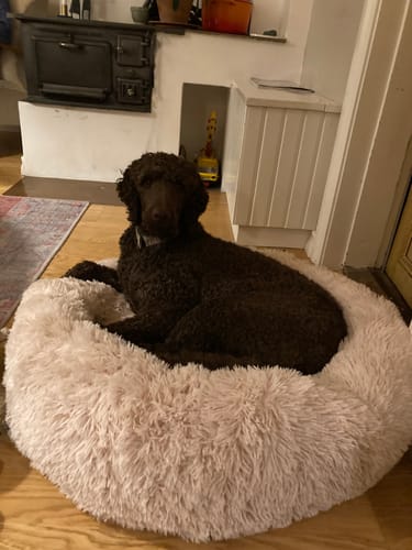 Customer photo review of CalmBed - Motverkar stress & hjälper mot ångest