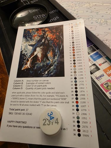 Customer photo review of The Shark's Pursuit