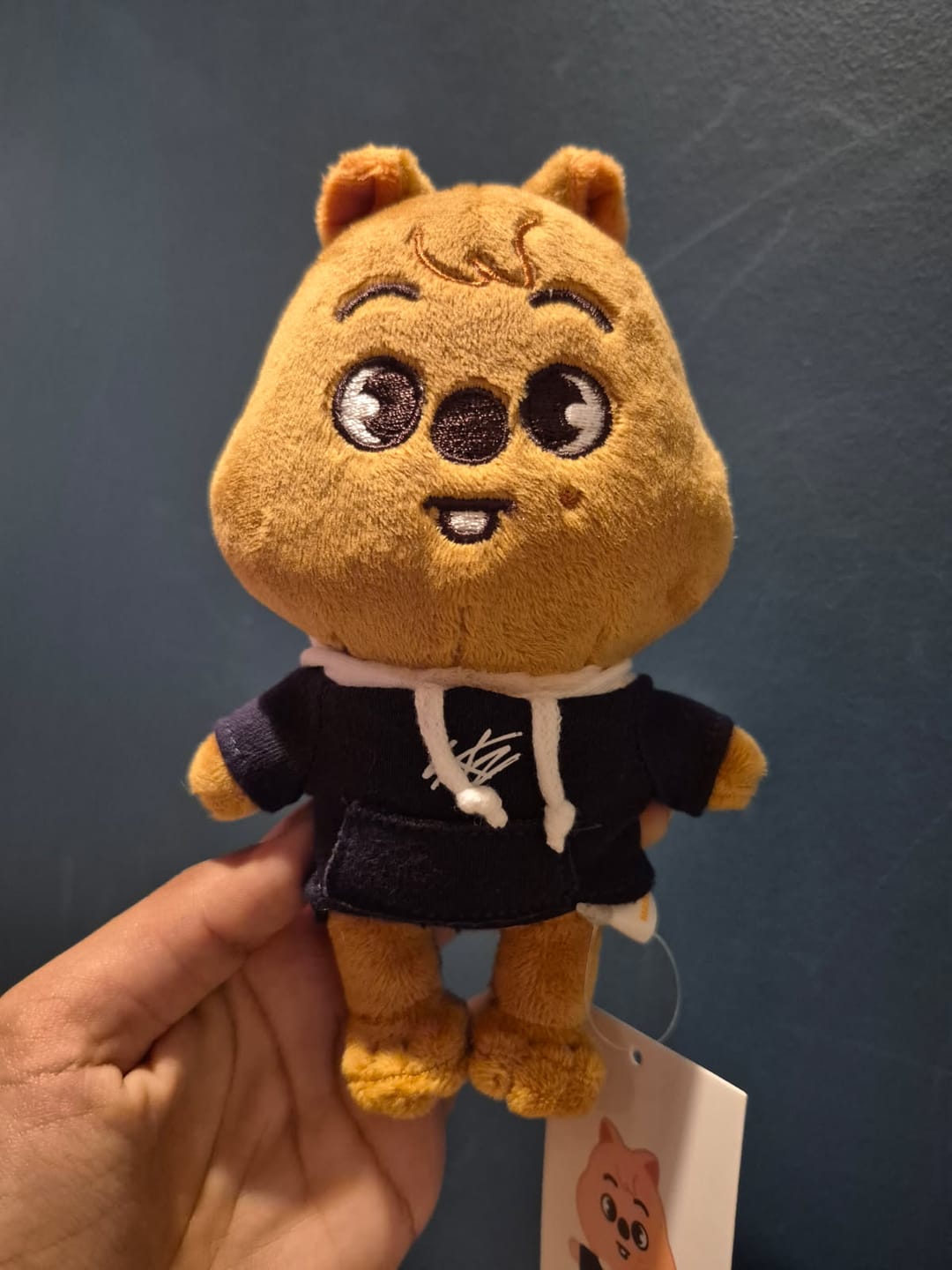 Customer photo review of [FANS SHOP] Stray Kids - SKZOO PLUSH MINI Ver.