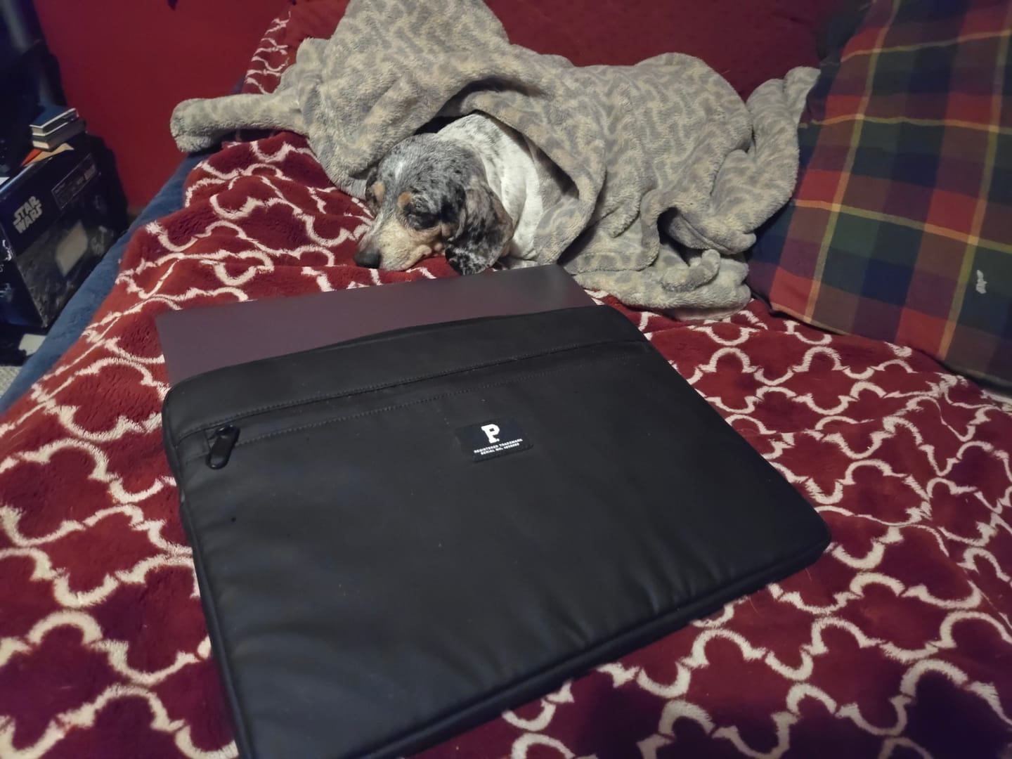 Customer photo review of Laptop Sleeve