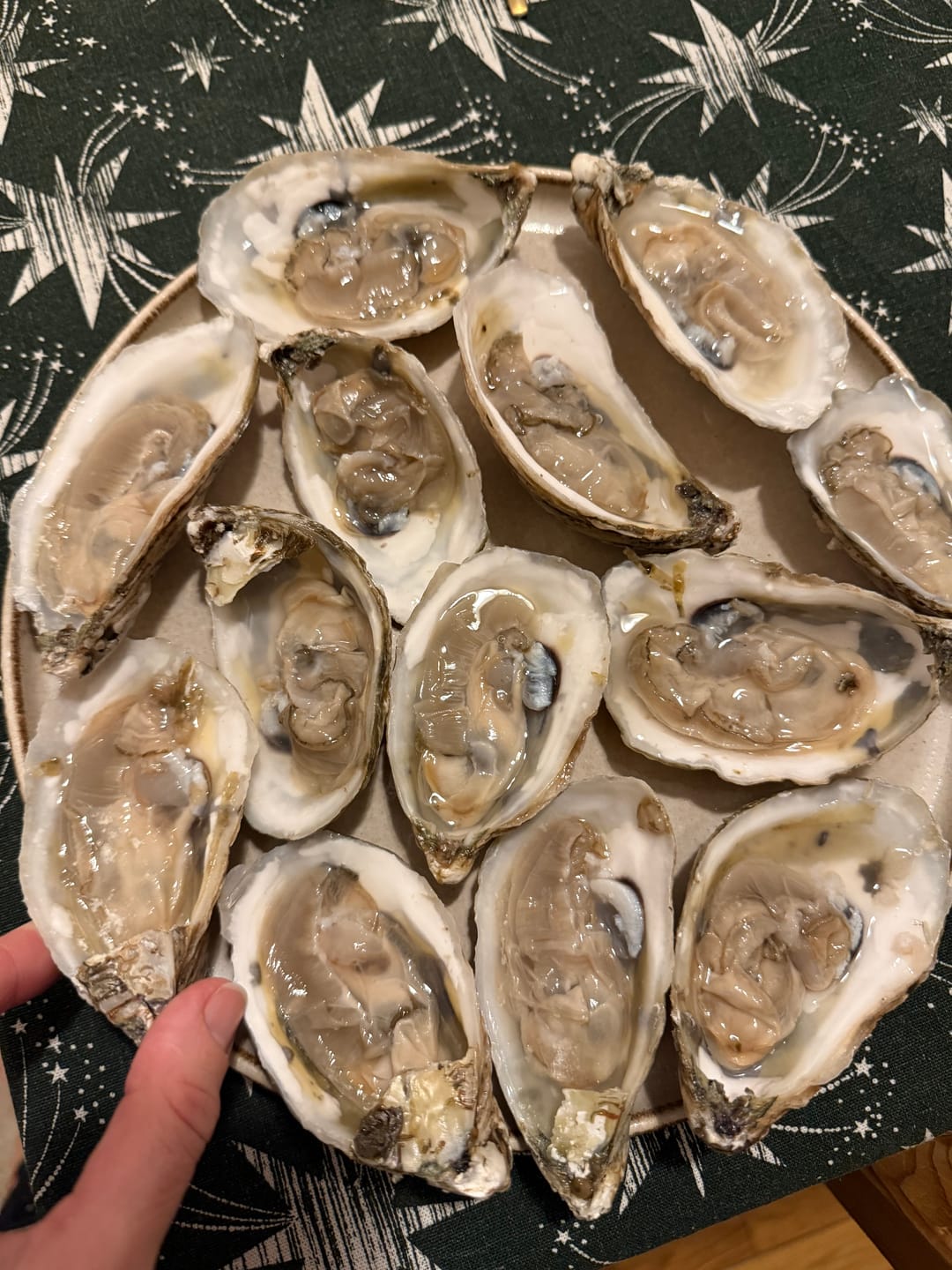 Customer photo review of Haven Gold Oysters
