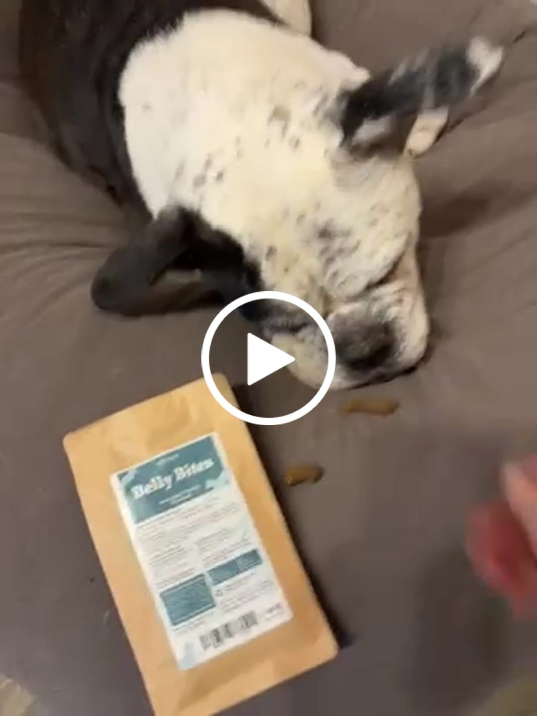 Customer video review of Belly Bites 40g (Gratis)