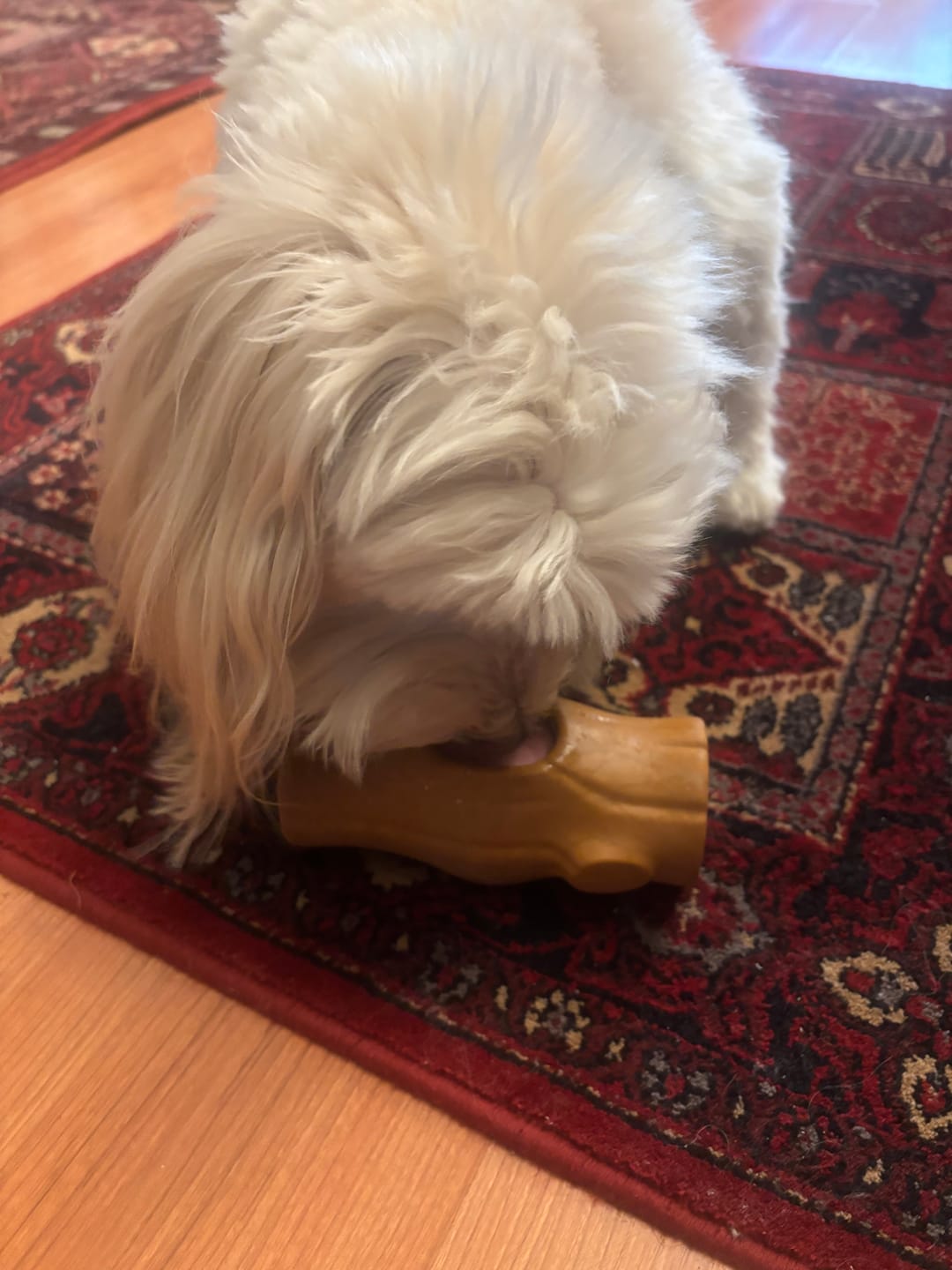 Customer photo review of Tronco Mágico THE DOGS — Calma con Snacks Congelados