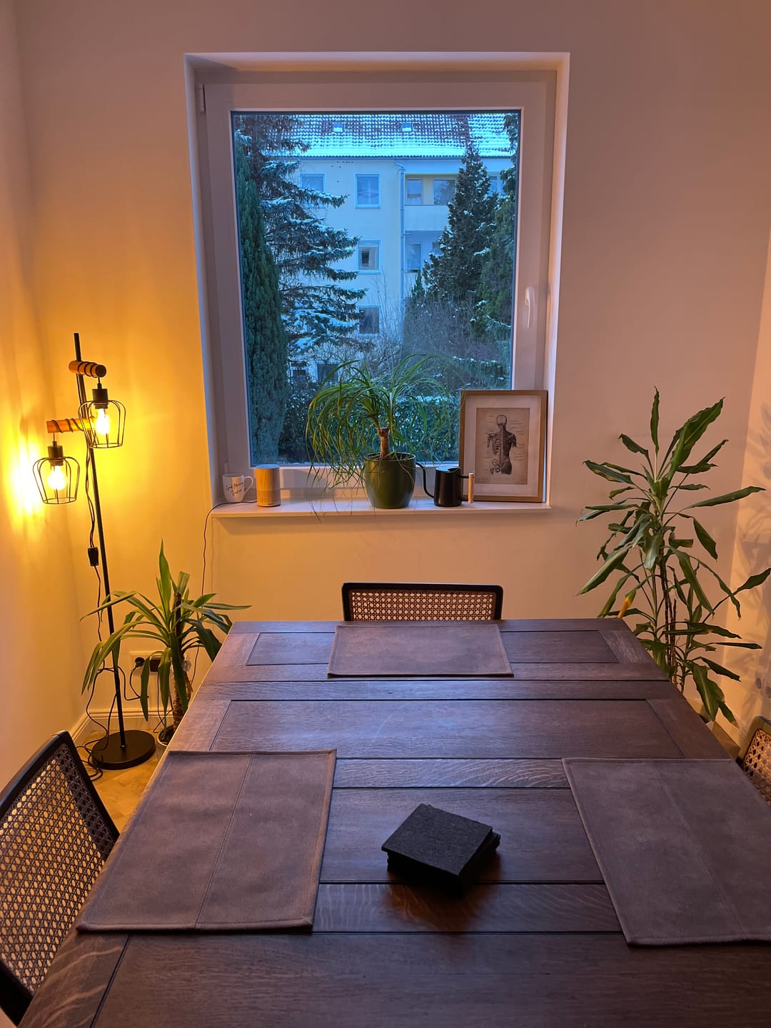 Customer photo review of Rücken Anatomie | Knochen und Muskeln