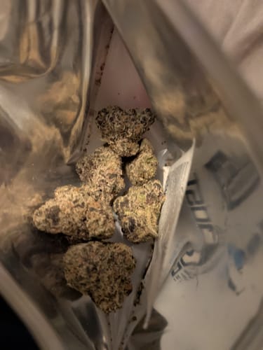 Customer photo review of Gas Mask