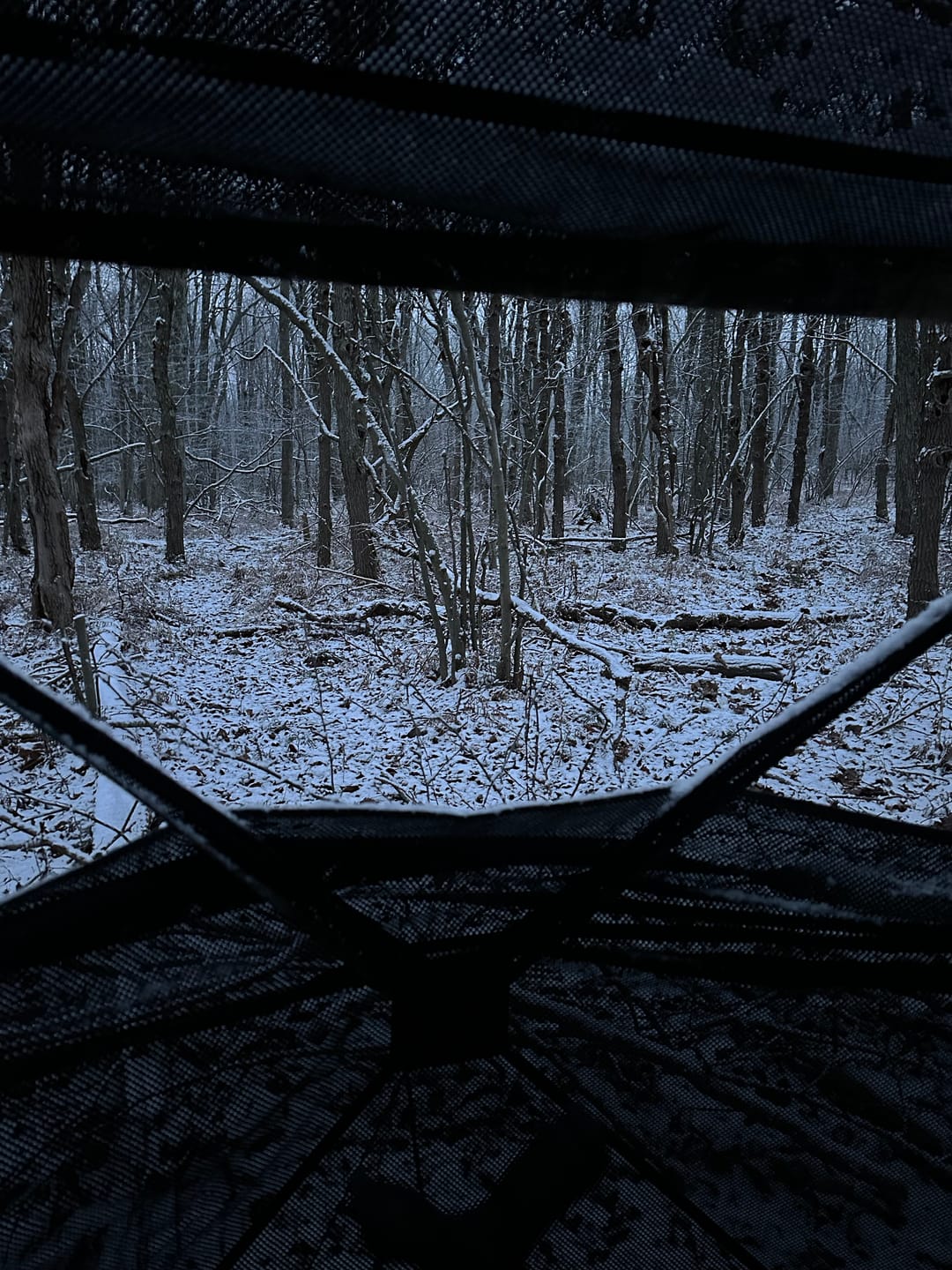 Customer photo review of Vis360 See Through Ground Blind | 360° Camouflage Pop Up Hunting Blind for 2/3/4 Person | Portable Deer Blind with Orange Cover