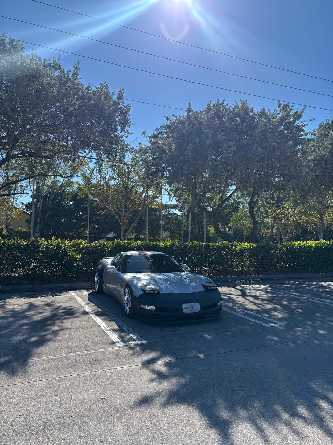 Customer photo review of Chevrolet Corvette C5 Performance Front Splitter Lip