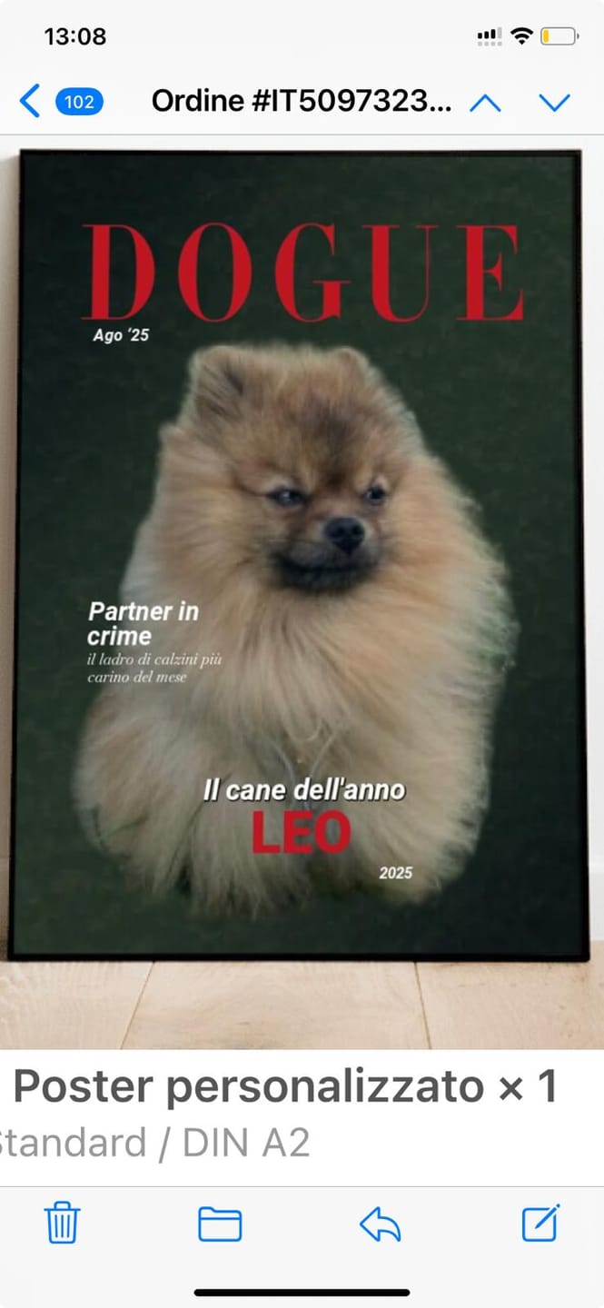 Customer photo review of Dogue - Poster personalizzato