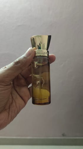 Customer photo review of Shanaya Gold Gourmand Perfume Spray 50 ML