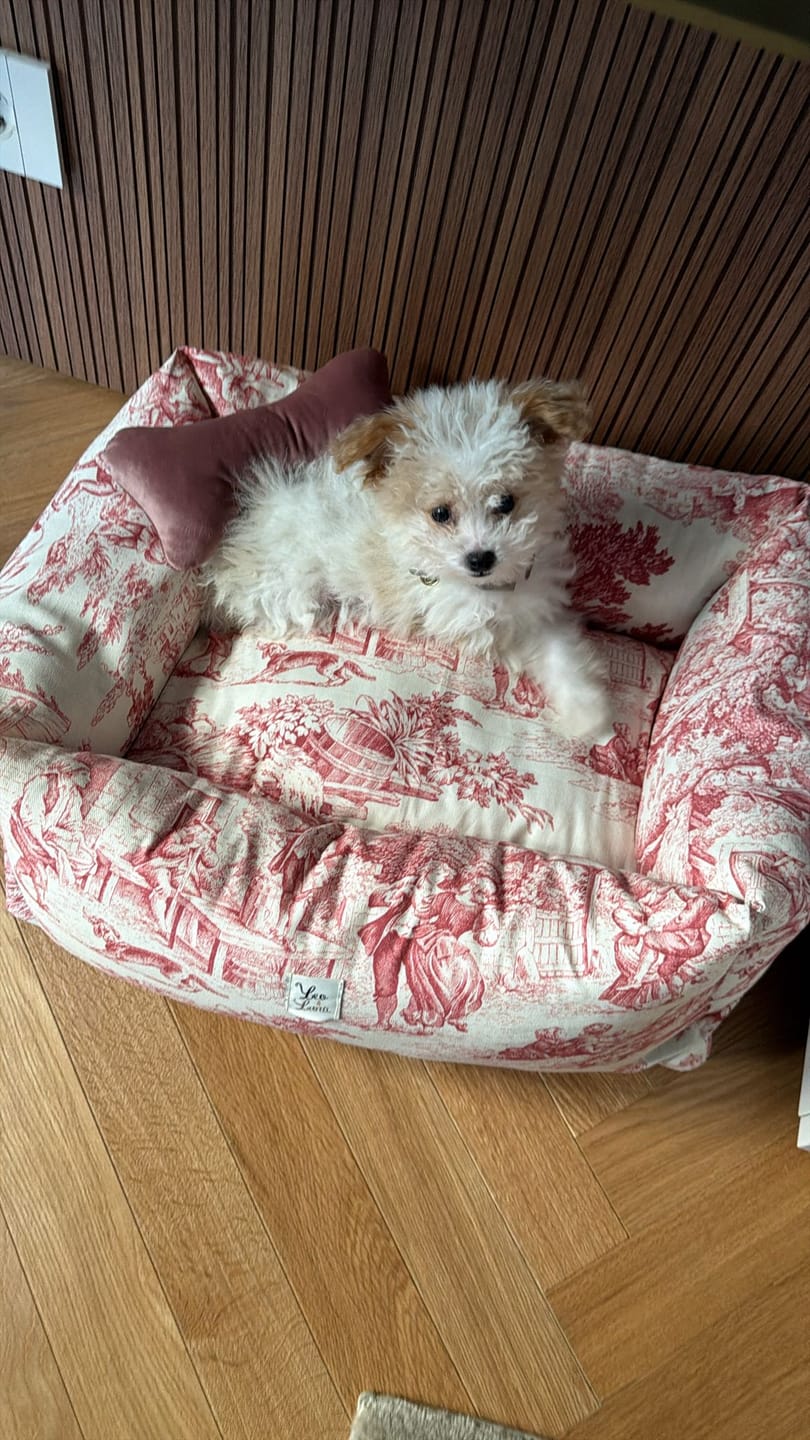 Customer photo review of Divanetto Panama Premium Toile de Jouy Heritage Rosso Classico