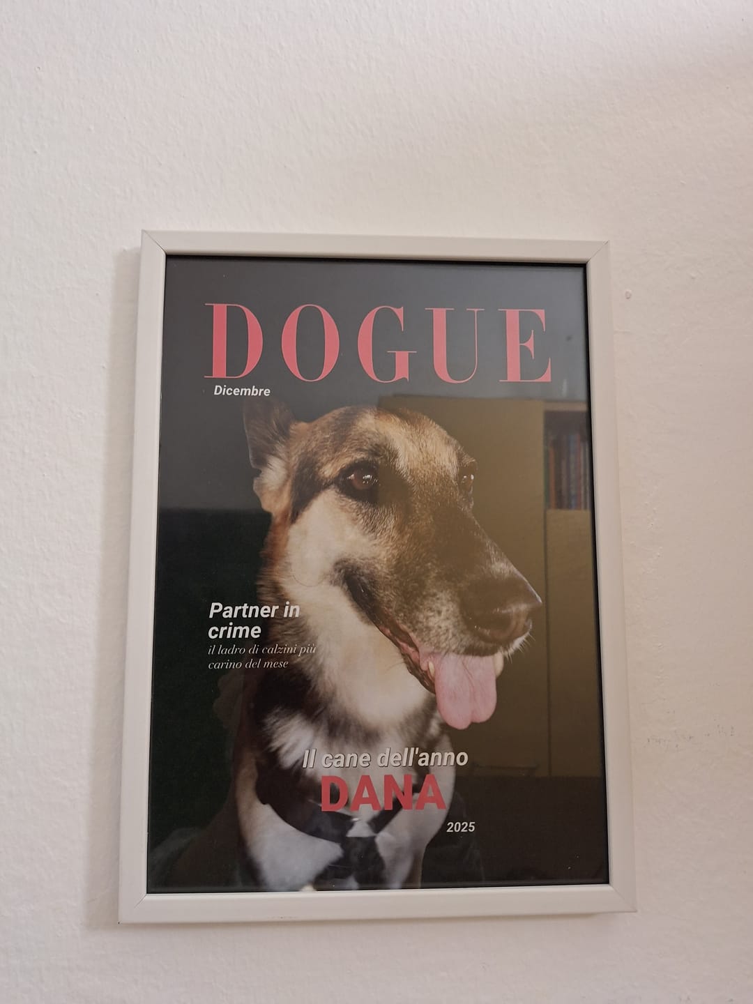 Customer photo review of Dogue - Poster personalizzato
