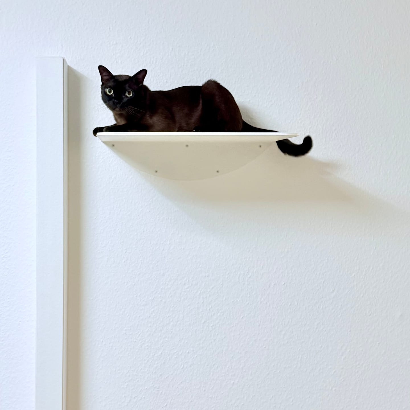 Customer photo review of STYA Katzen Kratzstamm KS150 | 150 cm