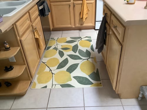 Customer photo review of Lemon Grove Machine Washable Rug