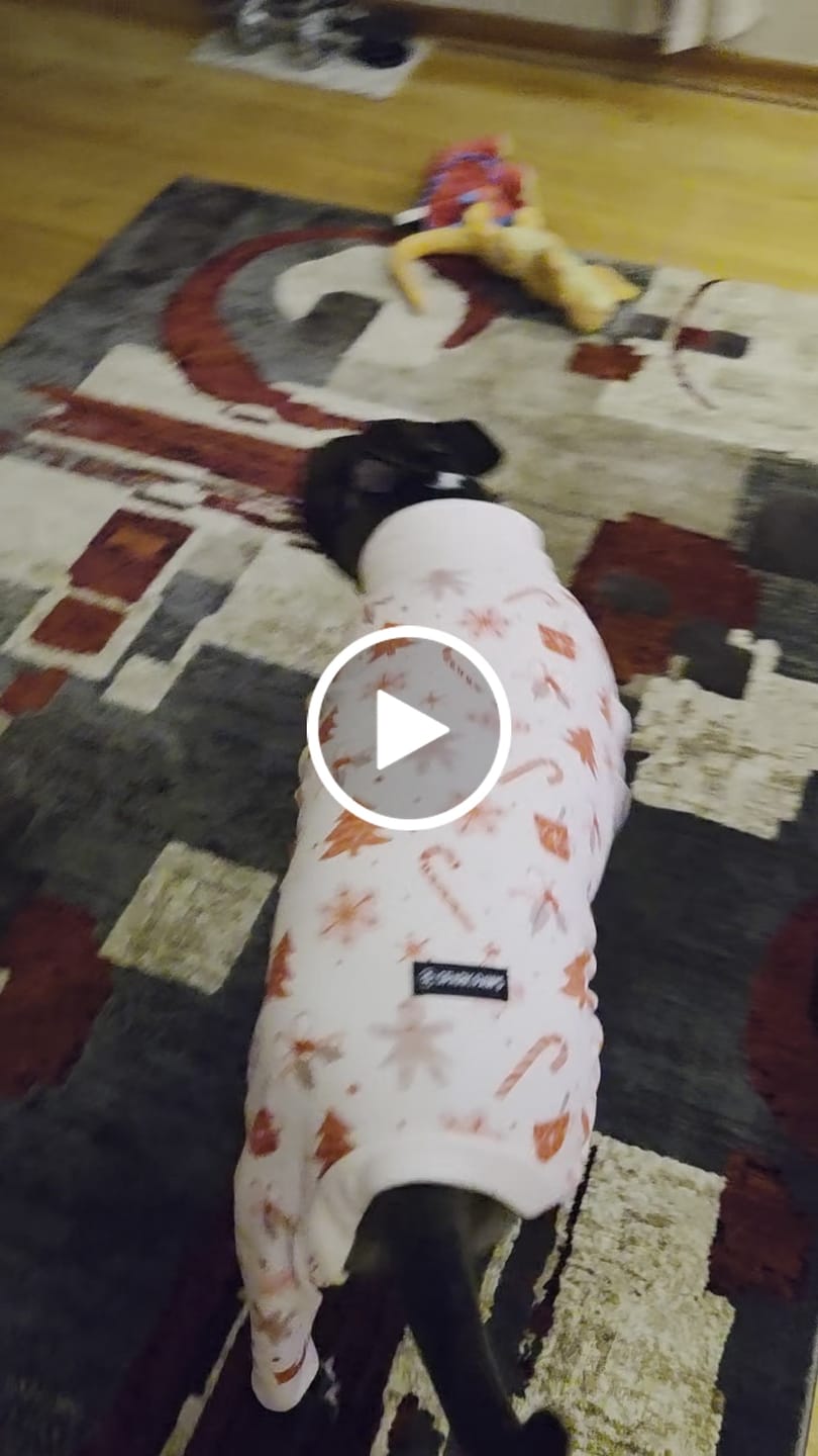 Customer video review of Dog Christmas Pajama - Candy Cane