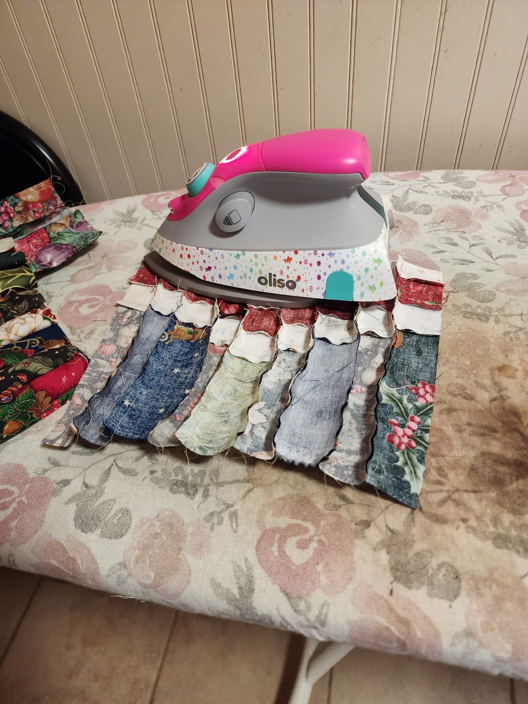 Customer photo review of Oliso Mini M3Pro Project Iron