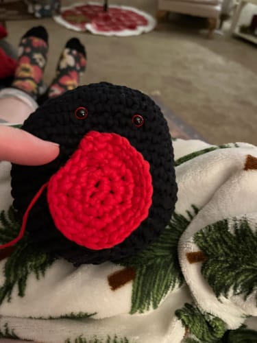 Customer photo review of Shipping Protection by Route