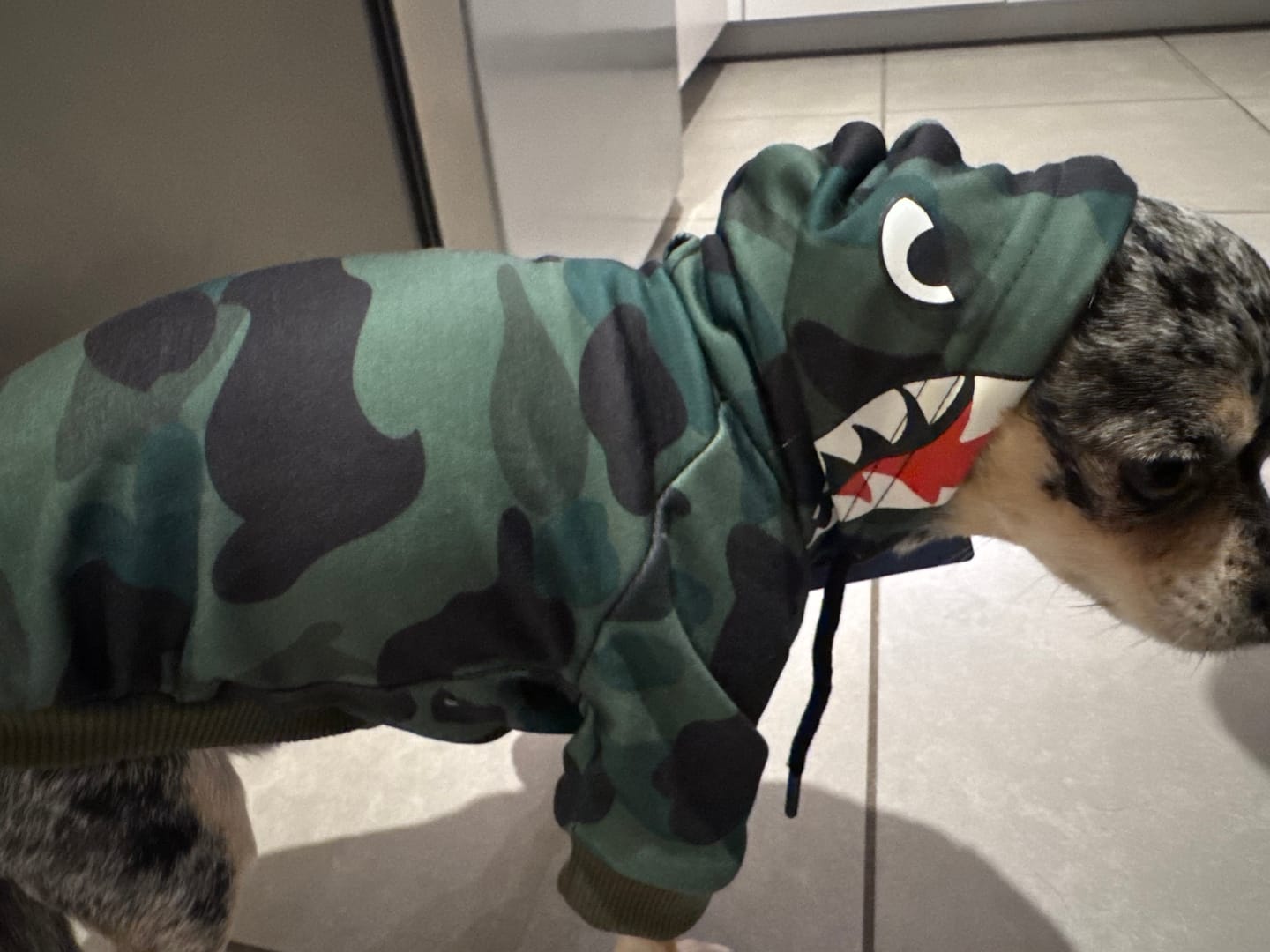 Customer photo review of Shark Monster Dog Hoodie - Green Camo