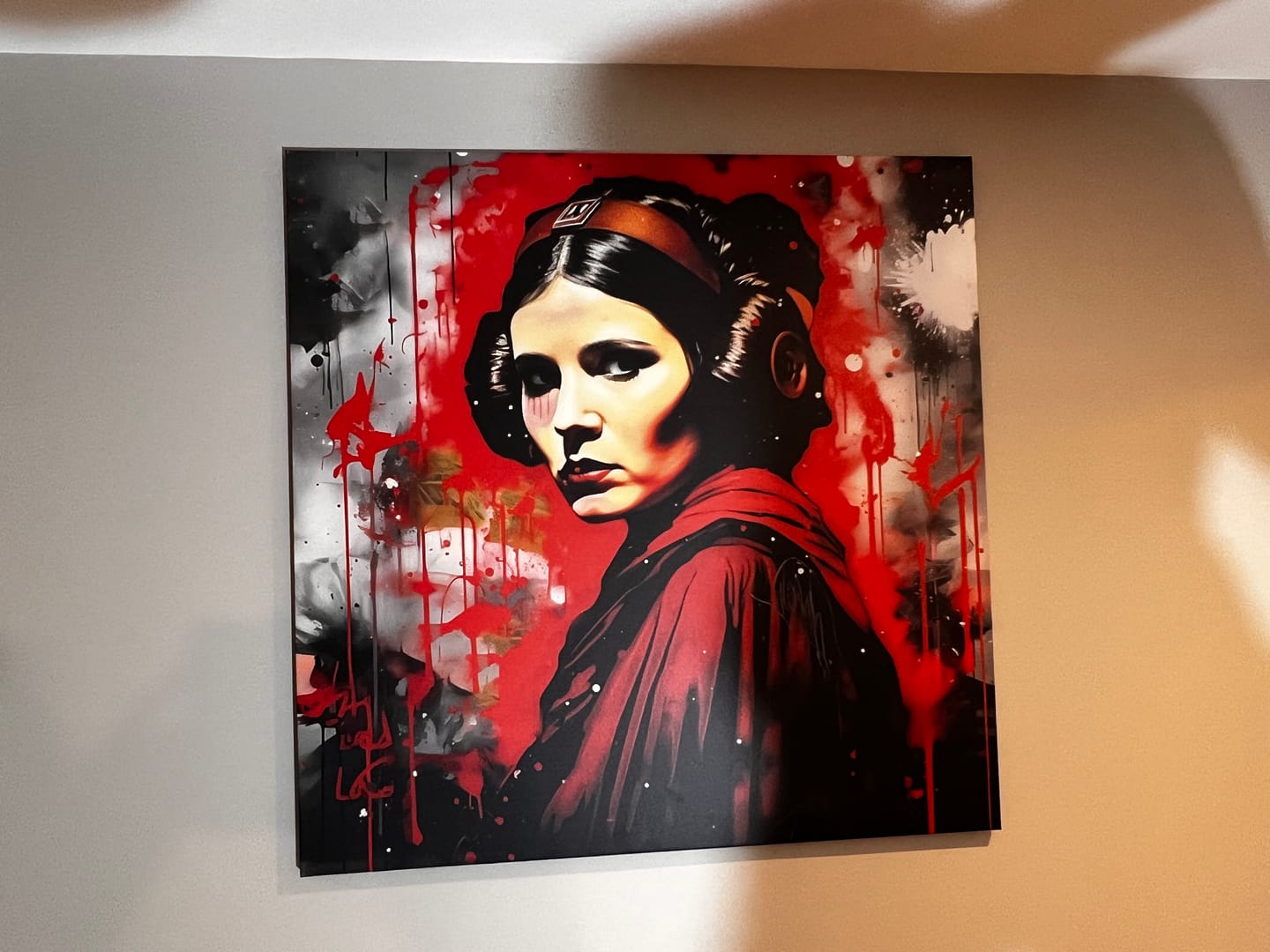 Customer photo review of Tableau Star Wars - Princesse Leia - Décoration Murale Artistique
