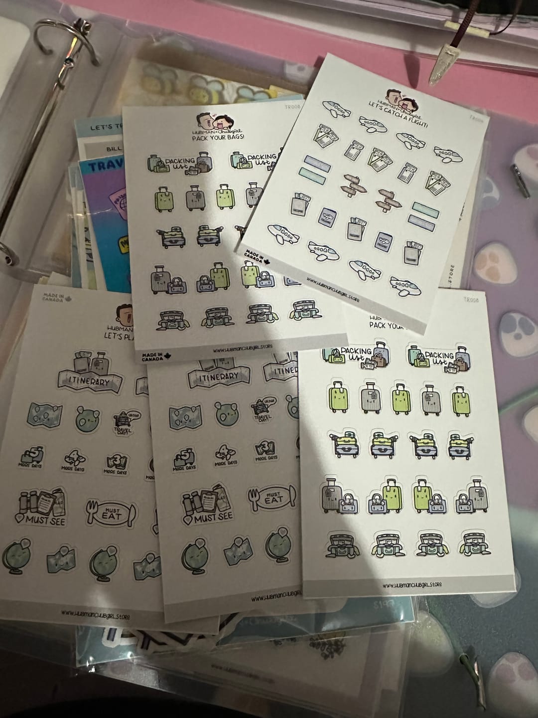 Customer photo review of Let's Catch a Flight Planner Stickers