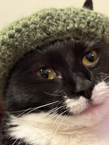 Customer photo review of Matcha Bundle