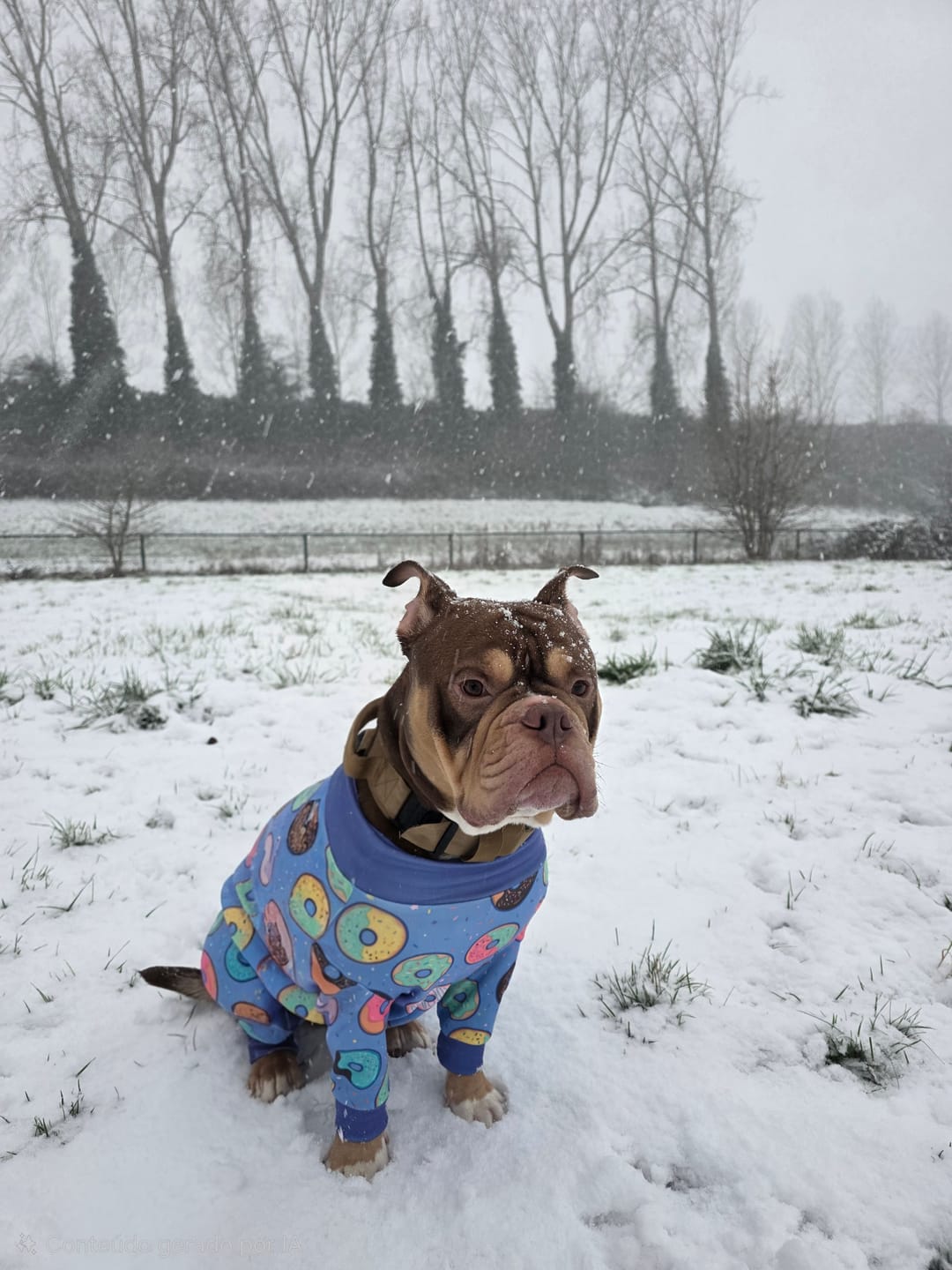 Customer photo review of Dog Pajama Prints