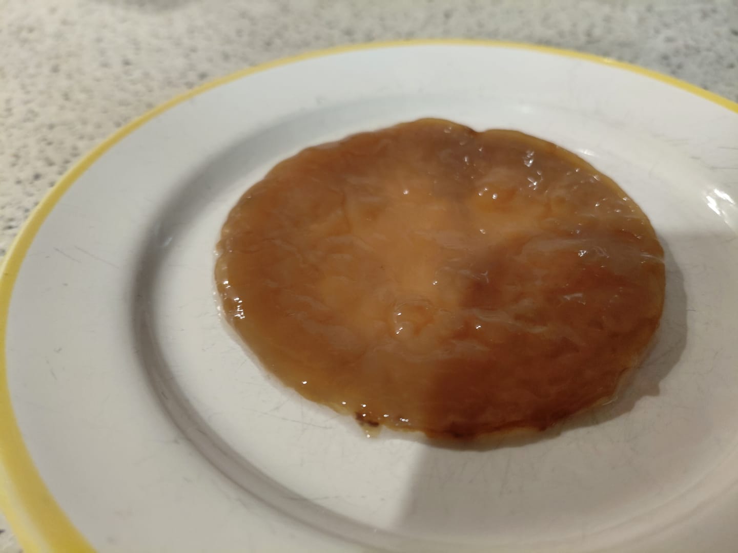 Customer photo review of Kombucha-Meisterkit: BIO Scoby & Starterflüssigkeit