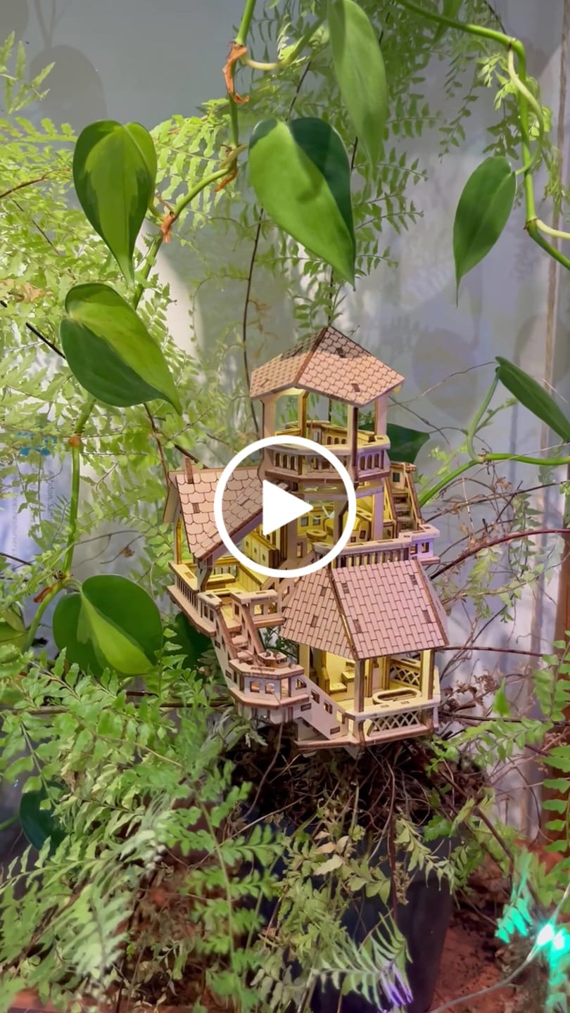 Customer video review of Forest Cottage