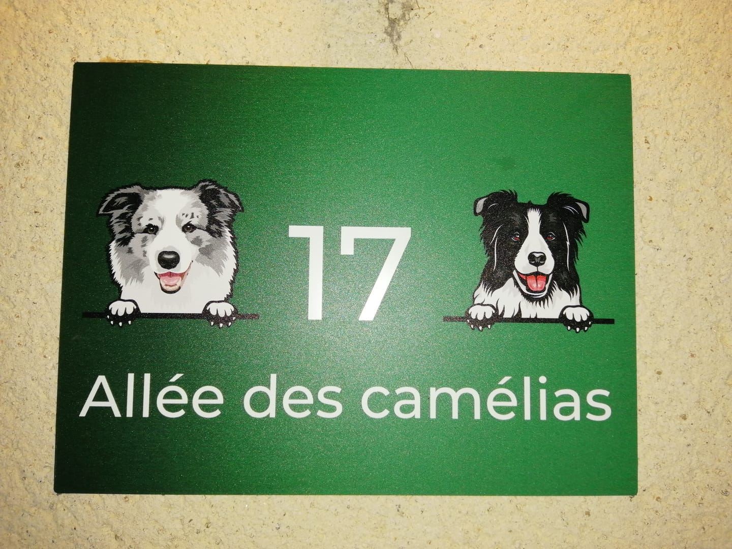 Customer photo review of Chiens curieux et numéro de maison - Plaque de porte personnalisée