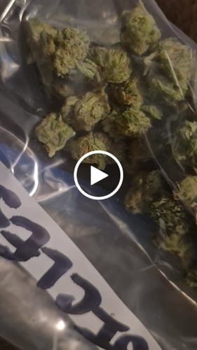 Customer video review of Exotic Micros