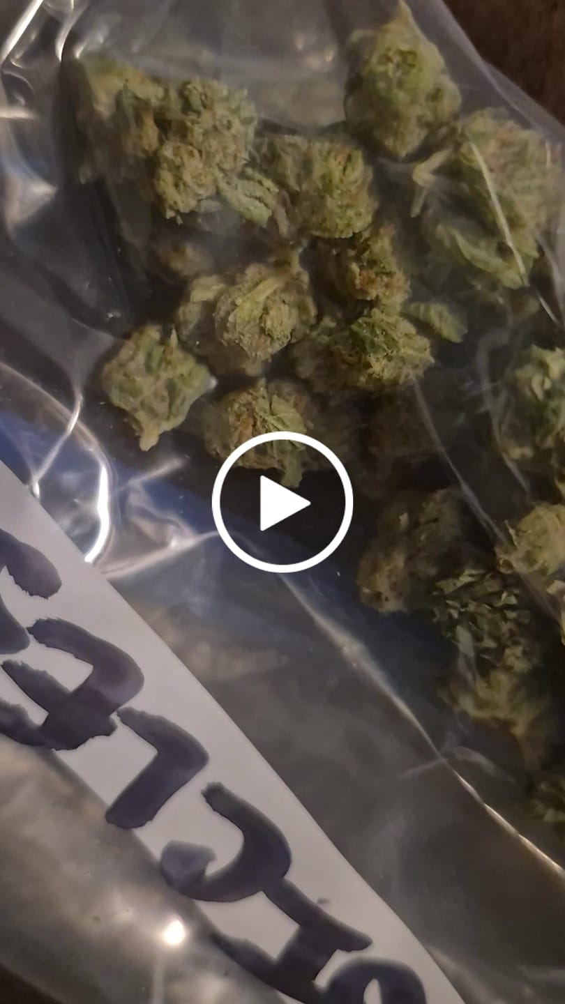 Customer video review of Exotic Micros
