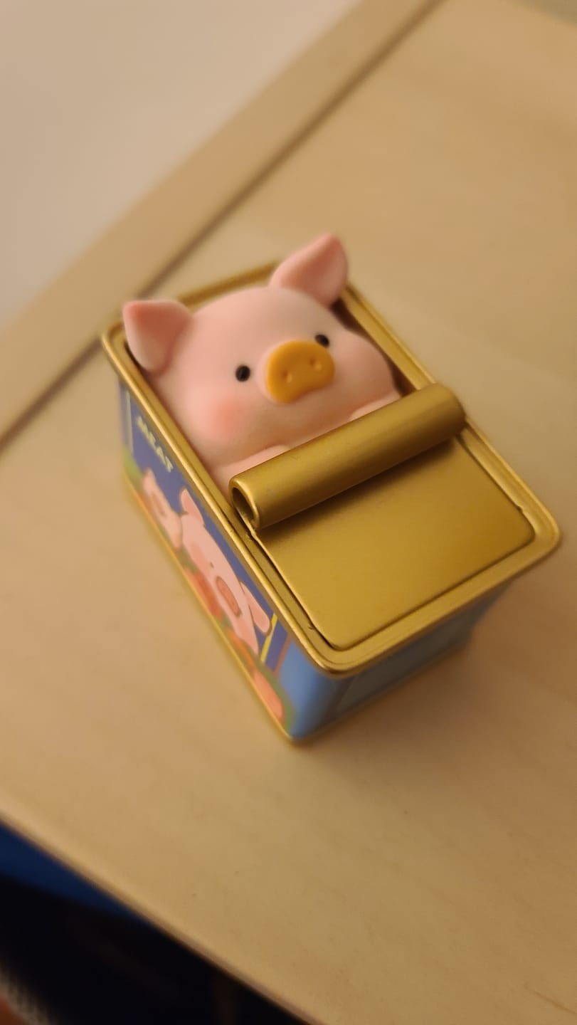 Customer photo review of LuLu The Piggy Stay With You Series Blind Box