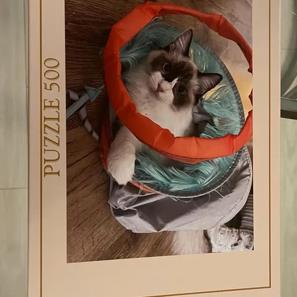 Customer photo review of Custom Photo Puzzle