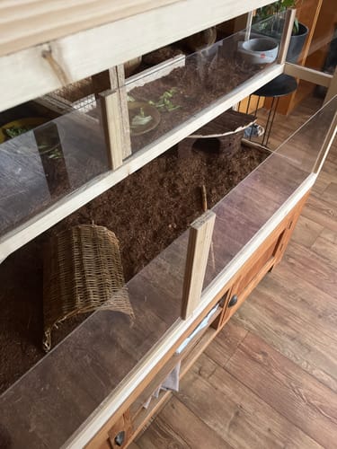 Ein Rezensent zeigt die Kleintiereinstreu, die in einem großen, mehrstöckigen Holzgehege für Meerschweinchen verwendet wird.