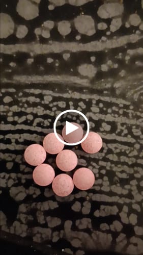 Customer video review of 🍄 4-Pro-MET Pellets
