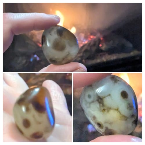 Customer's collage showing a polished agate palm stone with dark spots and veining.