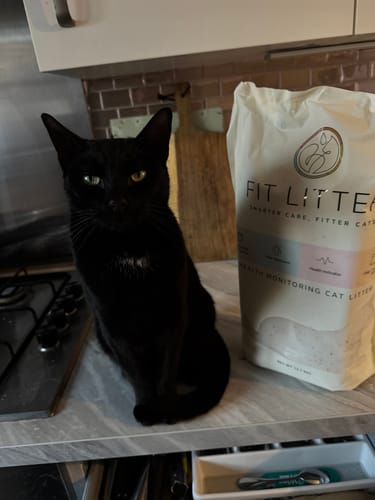 Customer photo review of 1 month supply - 4 Cats