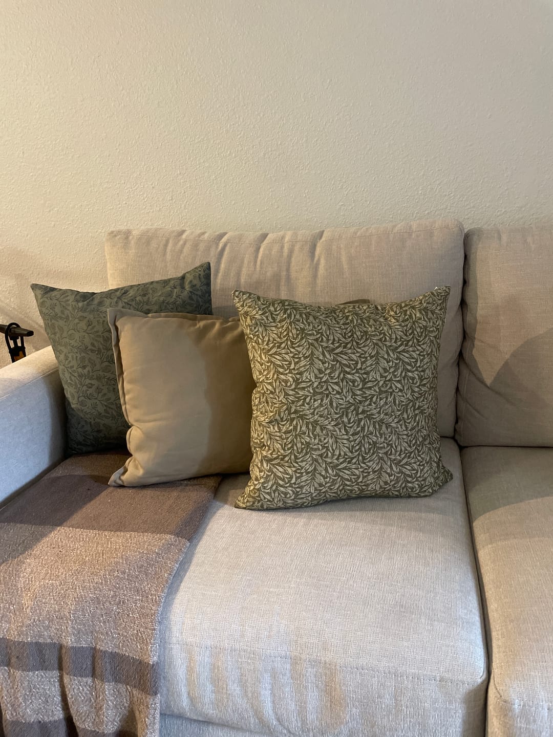 Customer photo review of Louie in Green - 18" | 20" | 22" | 26"