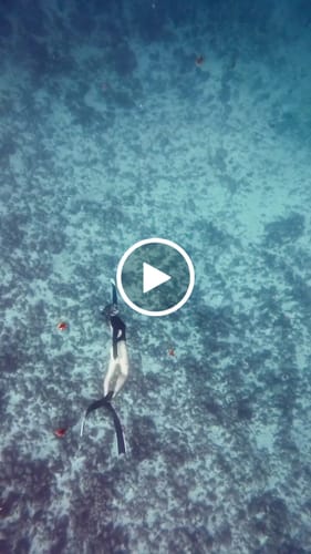 Customer video review of Luna Long Sleeve Swimwear