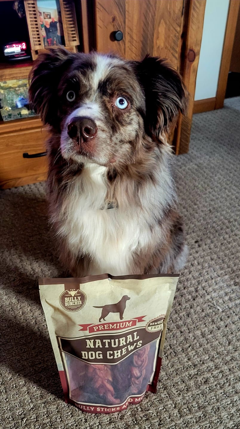 Customer photo review of 12 Inch Monster Braided Bully Stick