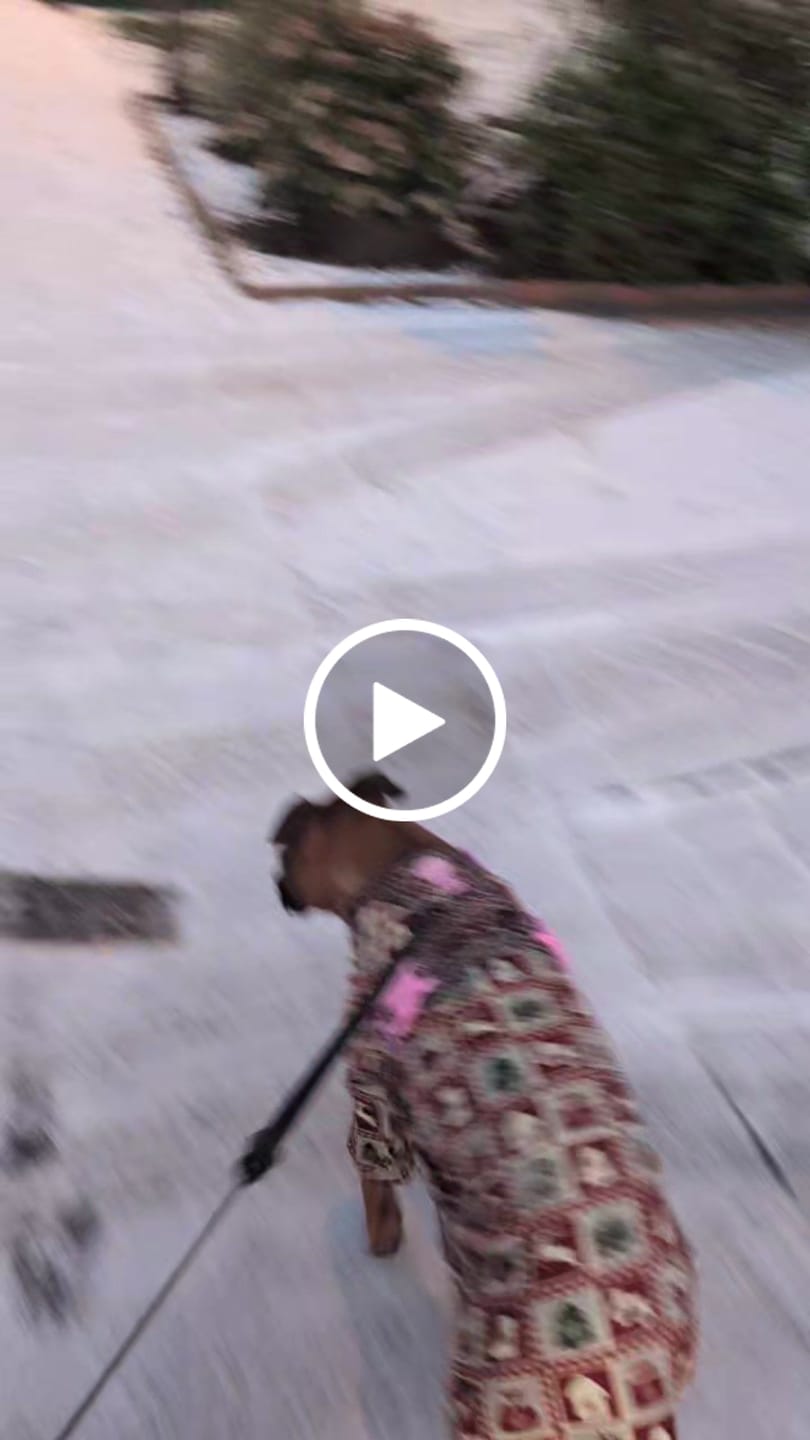 Customer video review of Tough Trails™ Harness -  Leopard Print