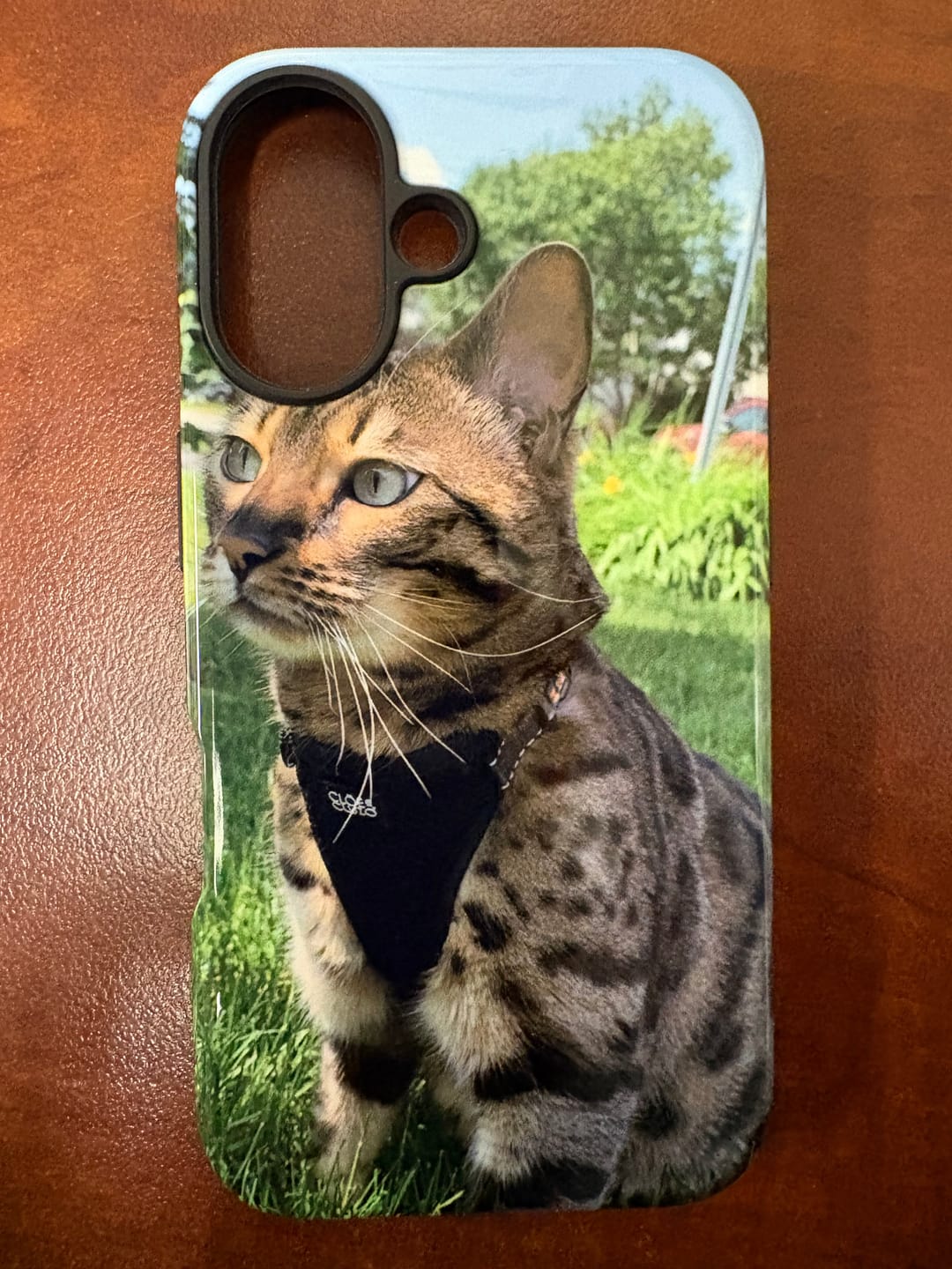Customer photo review of Custom - iPhone 16